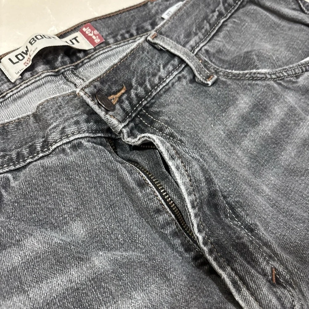 Levis levis 527